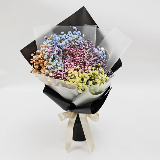 Rainbow Dreams with LED lights